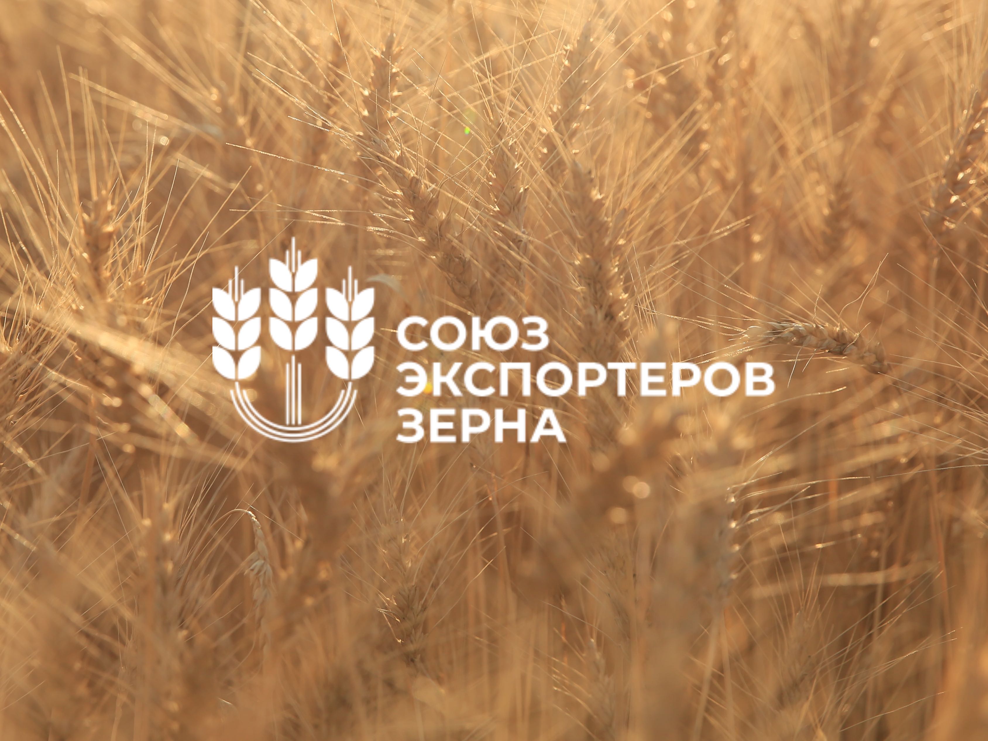 Агрокорпорация «БИО-ТОН» стала новым участником  Союза экспортеров зерна
