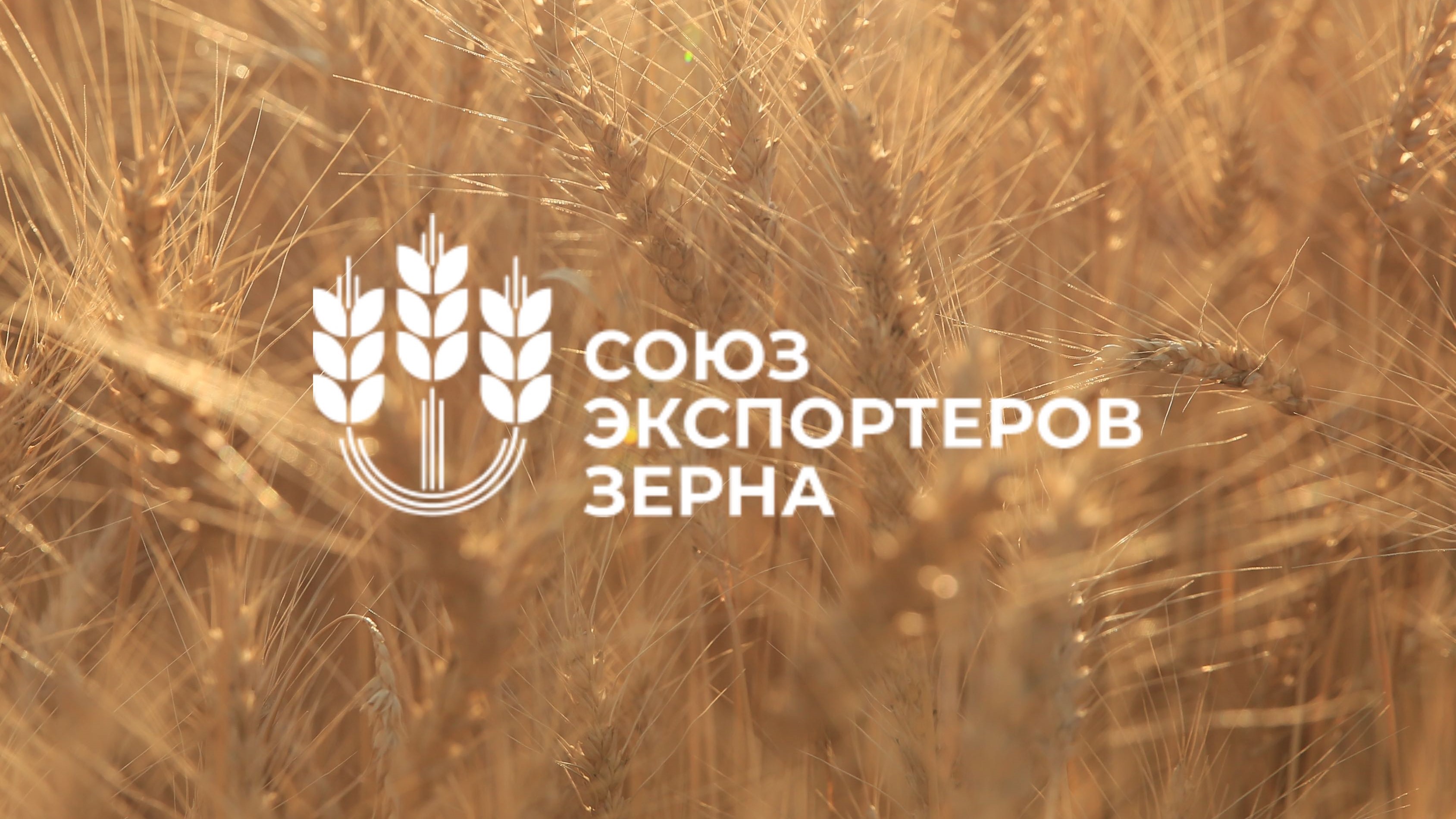 Агрокорпорация «БИО-ТОН» стала новым участником Союза экспортеров зерна Агрокорпорация «БИО-ТОН» стала новым участником Союза экспортеров зерна